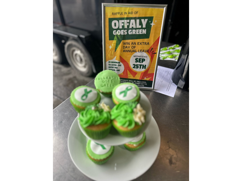 offaly-goes-green-1